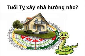 Hướng nhà nào giúp người tuổi Tỵ phát triển sự nghiệp?