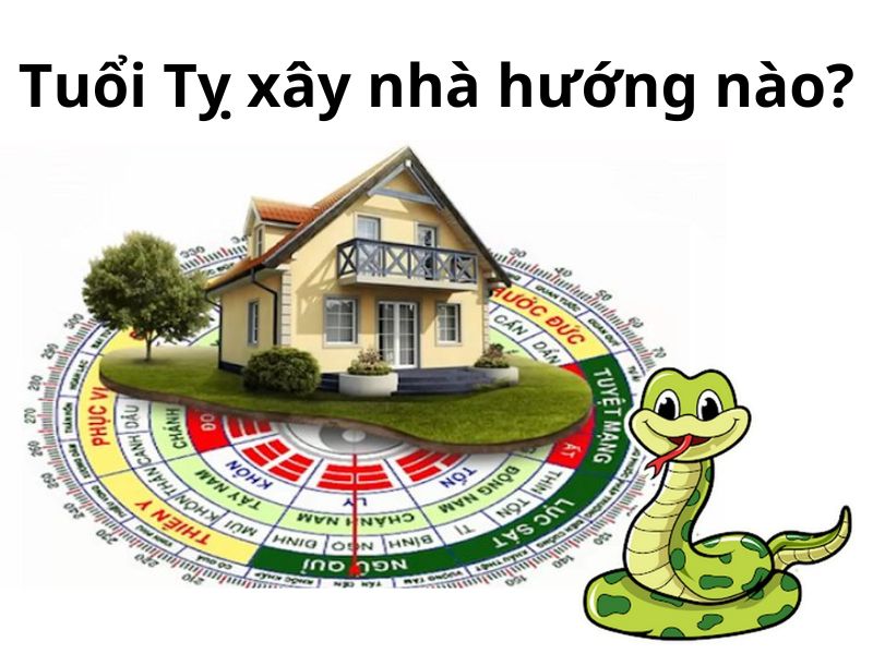 Người tuổi Tỵ hợp hướng nào?