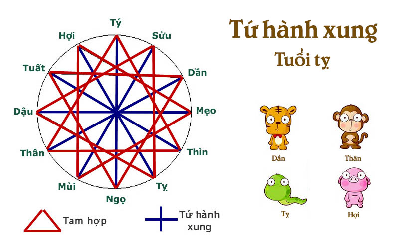 10 sai lầm thường gặp khi chọn hướng nhà cho người tuổi Tỵ