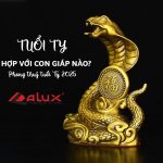 Tuổi Tỵ hợp với những con giáp nào?