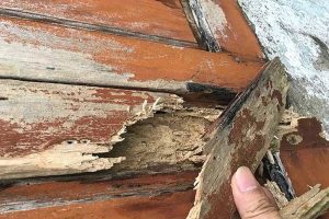 Top 5 lý do nên chọn cửa thép vân gỗ thay vì cửa gỗ tự nhiên