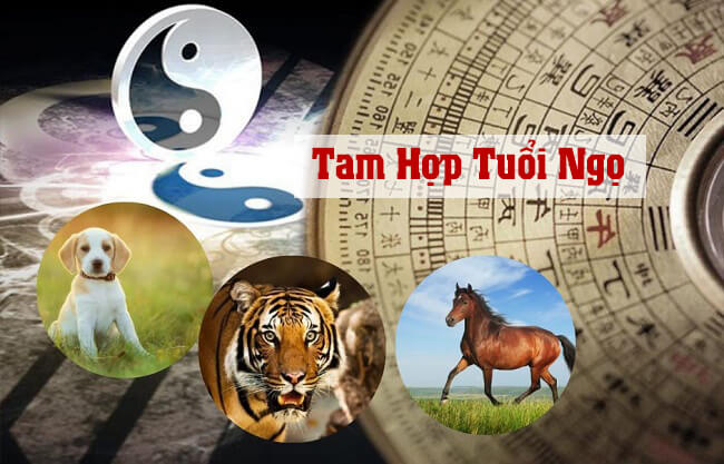 Tuổi ngọ hợp tuổi nào để kết hôn?