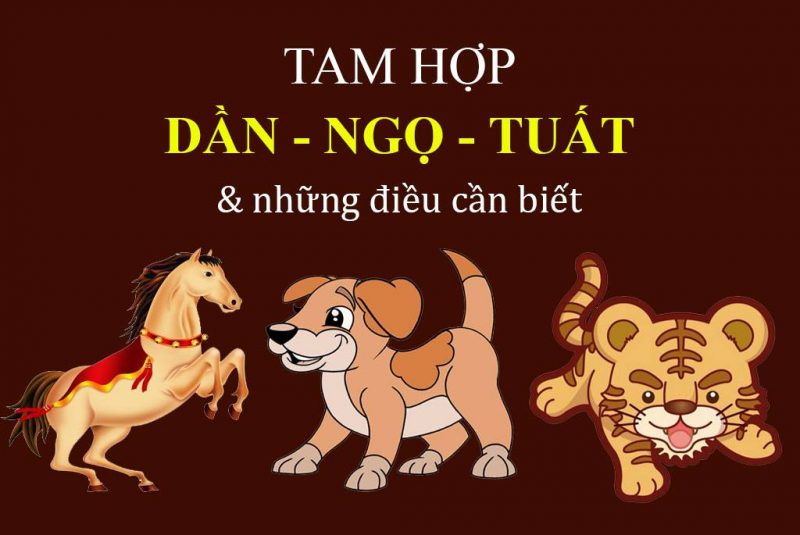 Tuổi Ngọ hợp với tuổi nào nhất? (Tam hợp & Lục hợp)