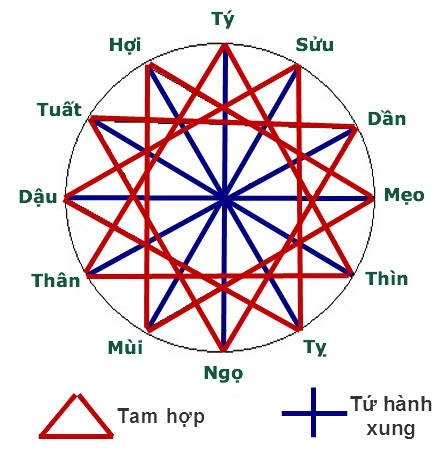 Tuổi Ngọ kỵ tuổi nào? (Tứ hành xung)