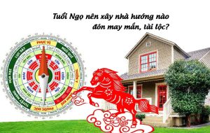 Tuổi Ngọ nên xây nhà hướng nào để gặp may mắn, đón tài lộc?